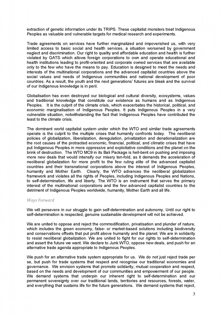 Declaration.WTO and Indigenous Peoples [FINAL]_Page_3